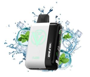 electronic cigarette